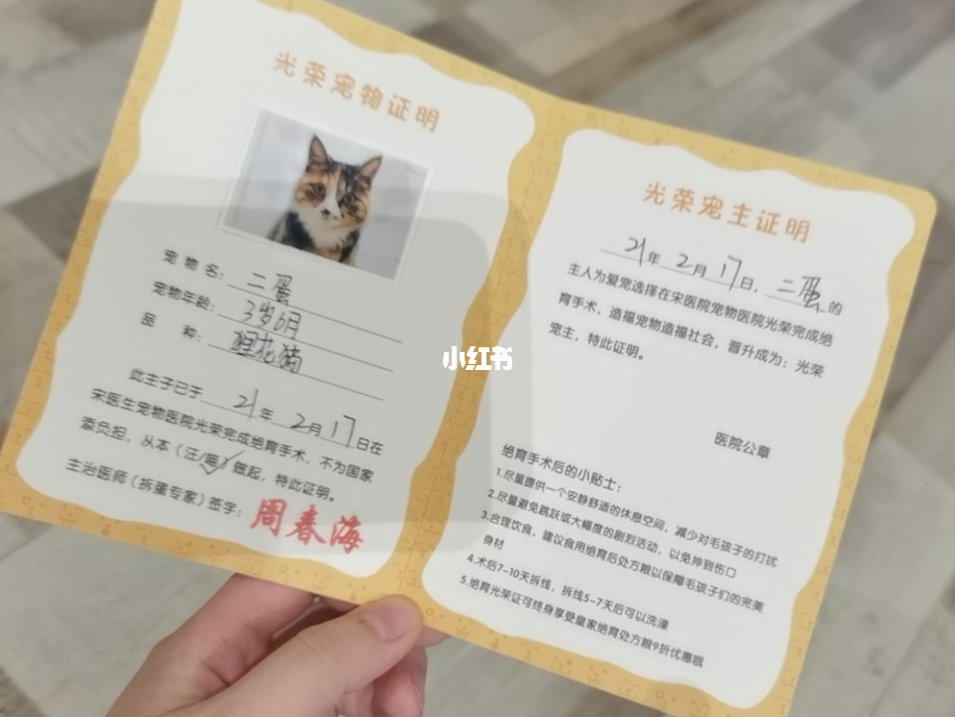 猫咪繁育证的重要性，知识与概述解析